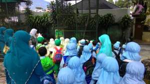 Anak-Anak Taman Kanak-Kanak se Bukittinggi  dalam acara Pengenalan Satwa dan Lingkungan di Kebun Binatang Bukittinggi